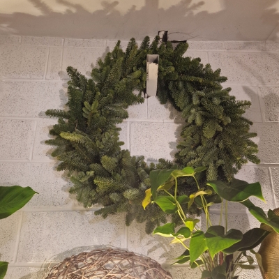 24 inch Christmas Wreath