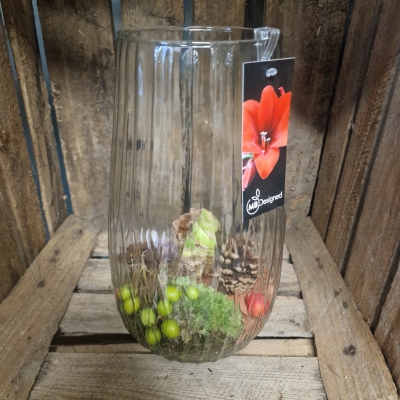 Red Amaryllis in a Glass Vase