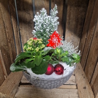 Indoor Planter in a Grey Plastic Pot